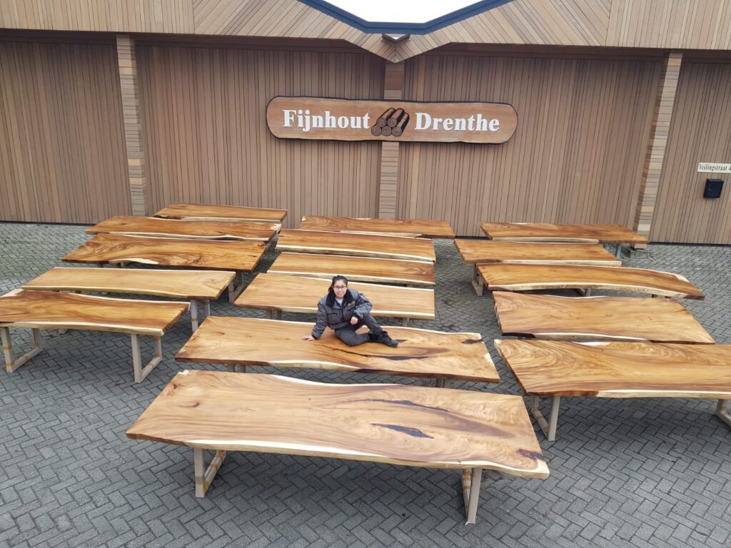 Suar boomstamtafel